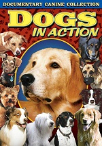 Dogs In Action