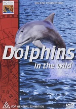 Dolphins In The Wild