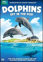 Dolphins - Spy In The Pod