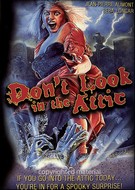 Don't Look In The Attic
