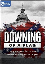 Downing Of A Flag