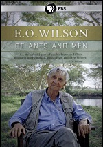 E.O. Wilson - Of Ants And Men
