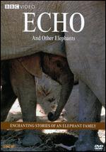Echo And Other Elephants - Enchanting Stories Of An Elephant Family