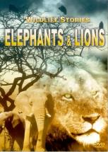 Wildlife Stories - Elephants & Lions