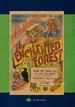 Enchanted Forest