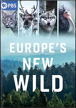 Europe's New Wild