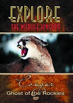 Explore The Wildlife Kingdom - Cougar: Ghost Of The Rockies