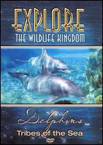 Explore The Wildlife Kingdom - Dolphins - Tribes Of The Sea