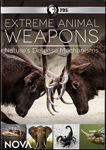 Extreme Animal Weapons