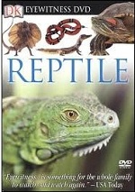 Eyewitness - Reptile
