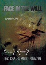 Face In The Wall