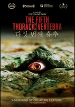 Fifth Thoracic Vertebra