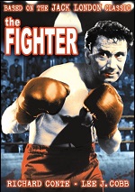 Fighter