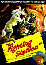 Fighting Stallion