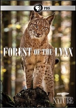Forest Of The Lynx
