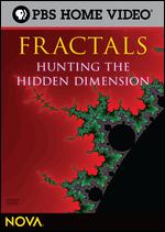 Fractals - Hunting The Hidden Dimension