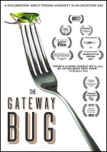 Gateway Bug