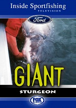 Giant Sturgeon