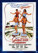 Gidget Goes Hawaiian