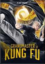 Grandmaster Of Kung Fu