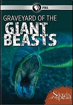 Graveyard Of The Giant Beasts