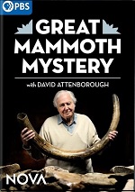 Great Mammoth Mystery