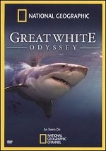 Great White Odyssey