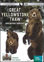 Great Yellowstone Thaw