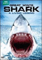 Great White Shark - A Living Legend