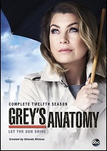 Greys Anatomy - The Complete Twelfth Season