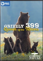 Grizzly 399: Queen Of The Tetons
