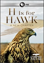 H Is For Hawk - A New Chapter