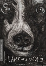 Heart Of A Dog - Criterion Collection