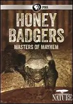 Honey Badgers: Masters Of Mayhem