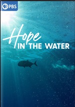 Hope In The Water