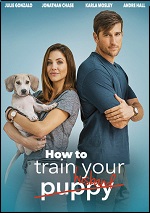 How To Train Your Husband