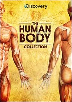 Human Body Collection