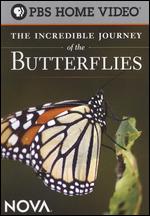 Incredible Journey Of The Butterflies