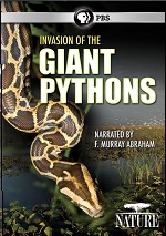 Invasion Of The Giant Pythons