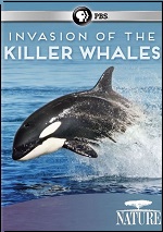 Invasion Of The Killer Whales