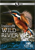 Ireland´s Wild River