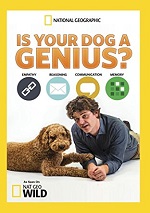 Is Your Dog A Genius?