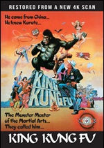 King Kung Fu