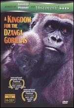 Kingdom For The Dzanga Gorillas, A