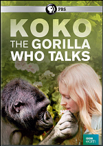 Koko - The Gorilla Who Talks