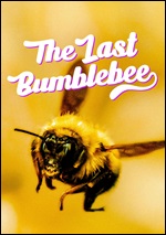 Last Bumblebee