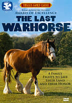Last Warhorse