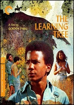 Learning Tree - Criterion Collection