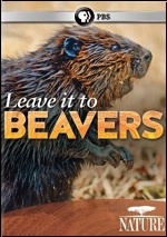 Leave It To Beavers