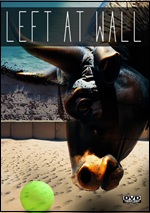 Left At Wall